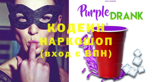 шишки Покачи